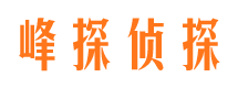 长丰侦探公司